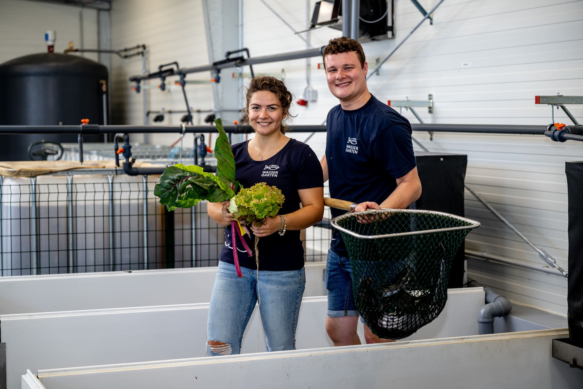 Aquaponik System im Betrieb